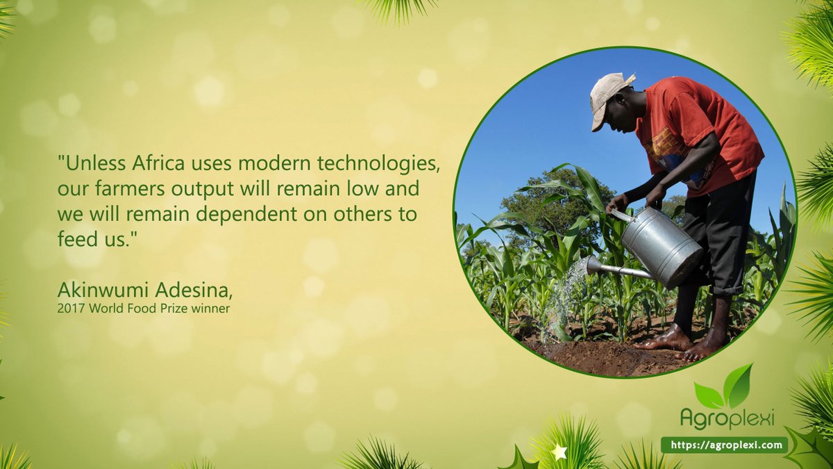 Agroplexi (@agroplexitoken) on Twitter photo 