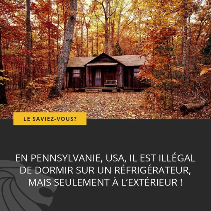CCLOT_France's tweet photo. Retrouvez toutes les semaines #lesaviezvousbycclot !

#cclot #lesaviezvous #clotures #portails #portillons #serrurerie #barfences https://t.co/HP2wiAuHVo