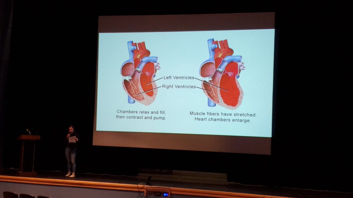 n_beddes's tweet photo. Savannah's turn to tell us the biology behind a broken heart β€οΈ #BioWithBeddes https://t.co/7mEUoKC947