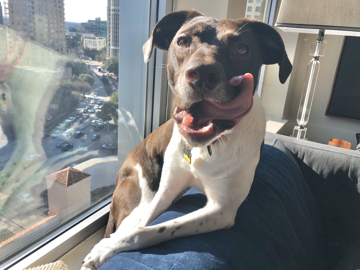 Haven’t posted in a while. Here’s a lounging Iris. I love my work.