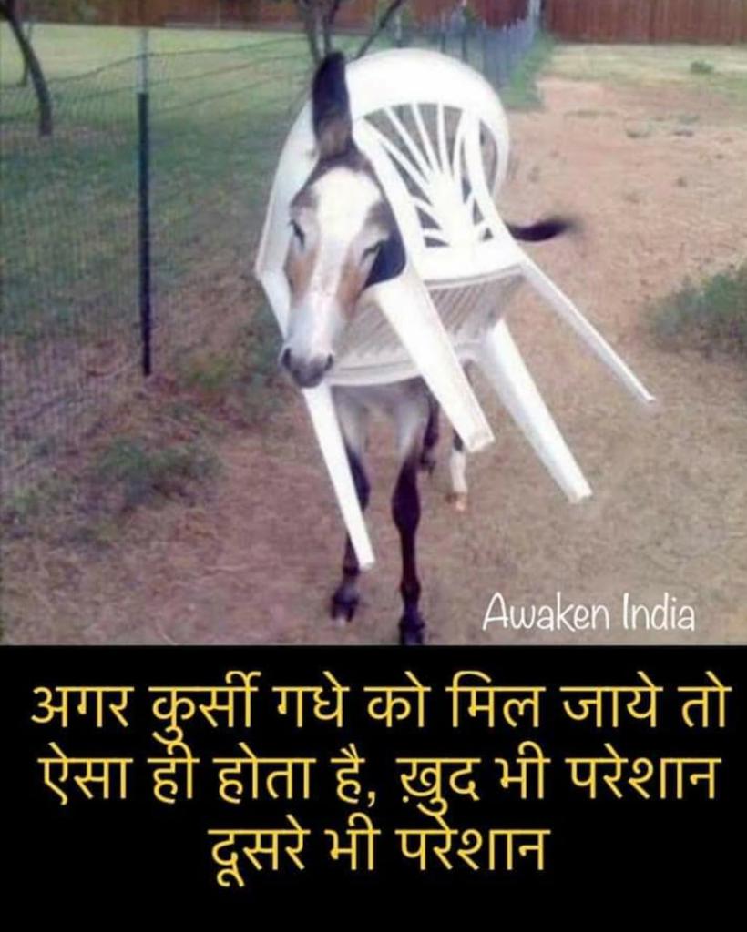 १९८-शिरूर tweet media