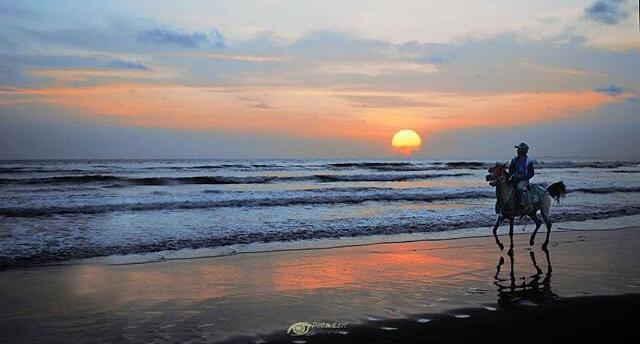 Daya tarik wisata favorit di Cilacap, Pantai Jetis foto by @kroyakeren 

#favehotels #favehotelcilacap #cilacap