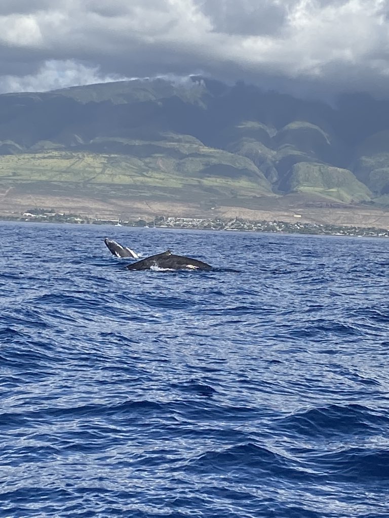 QueenTess808 tweet media