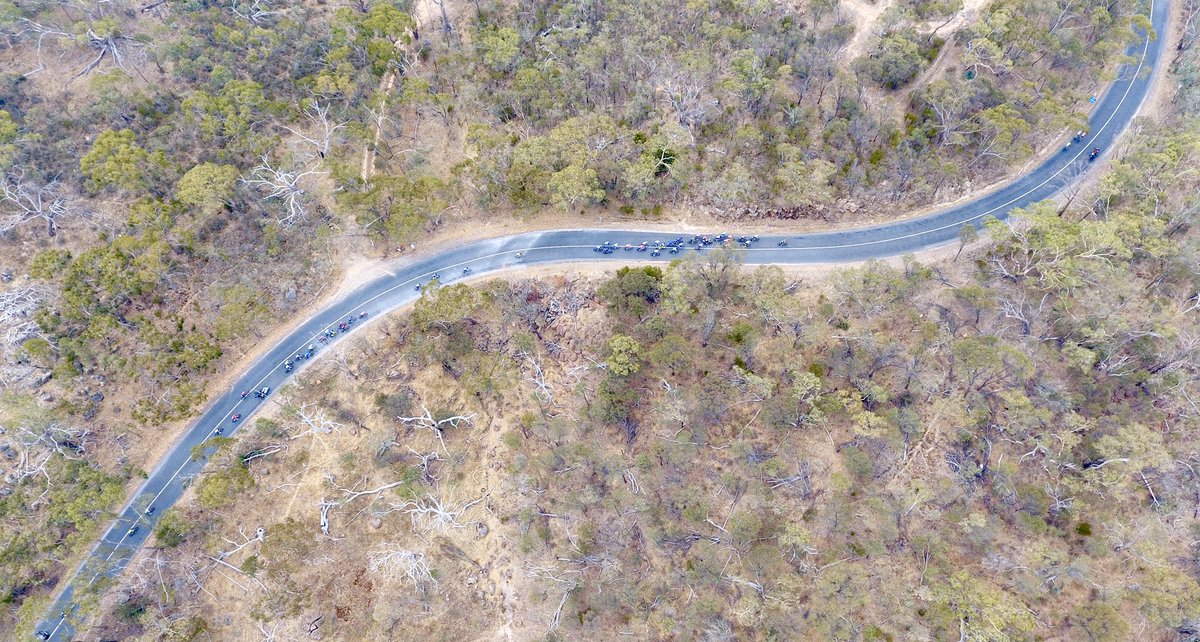 Scattered groups about to crest the Taminick Gap climb.Lead group have about 200m to the top.#JHST #Suntour