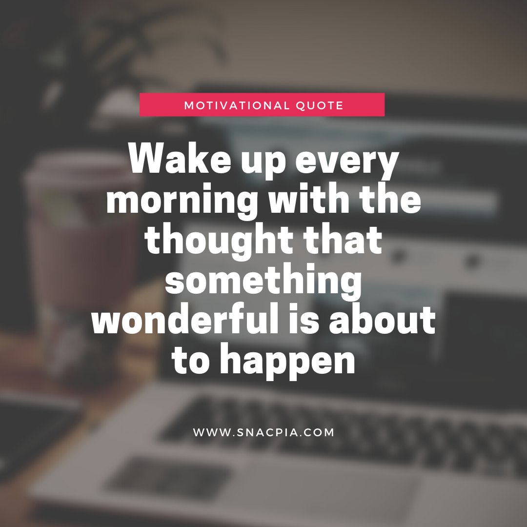 Futurepia & SNAC tweet media