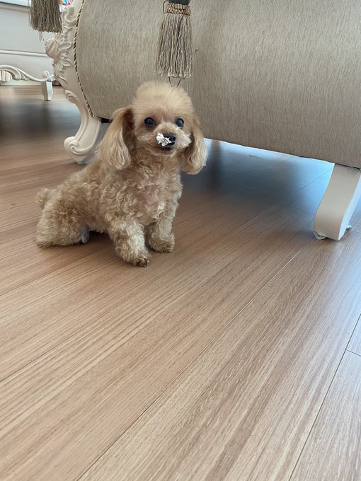 愛沢えみりさん の最近のツイート 18 Whotwi グラフィカルtwitter分析