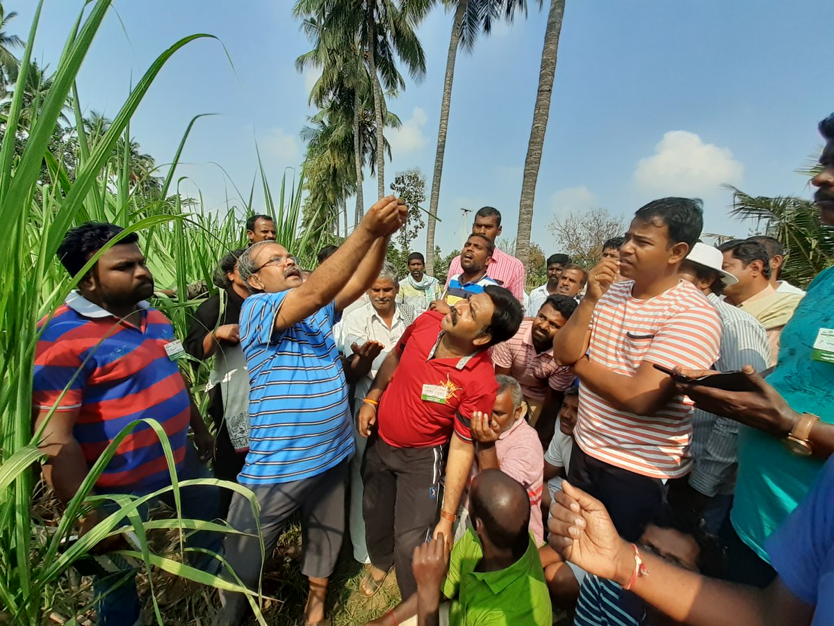 #IshaAgroMovement organized a 2-day on-field training program on the theme, "Notice the insects". Selvam, a famous entomologist took the sessions on February 1 and 2, for 50 participants from various districts of Tamil Nadu at a farm in Mevani village, Gobichettipalayam Taluk.