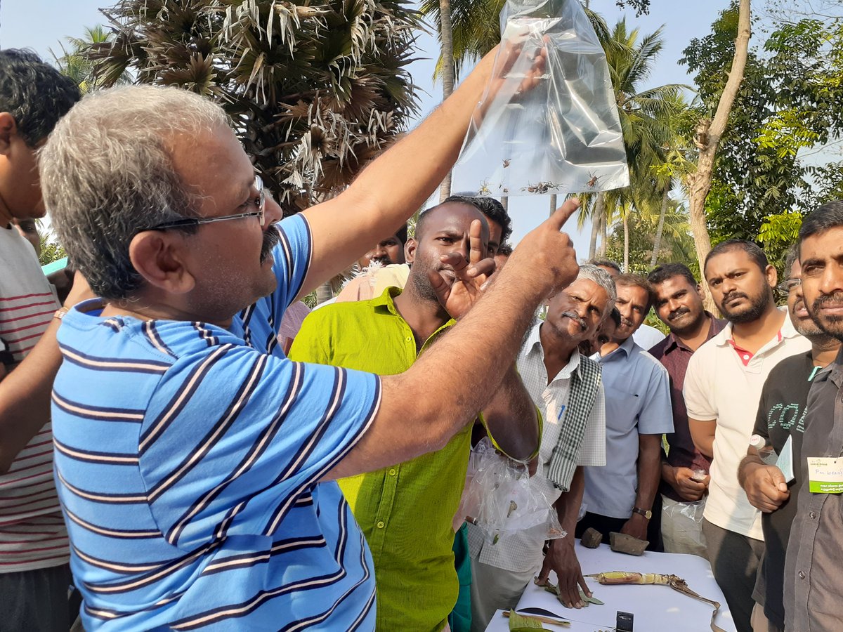 IshaTamil's tweet photo. #IshaAgroMovement organized a 2-day on-field training program on the theme, "Notice the insects". Selvam, a famous entomologist took the sessions on February 1 and 2, for 50 participants from various districts of Tamil Nadu at a farm in Mevani village, Gobichettipalayam Taluk. https://t.co/cEAeUJYoyu