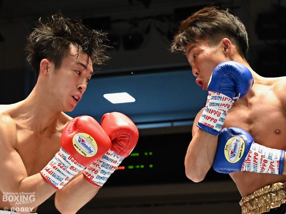 はじめの一歩 IPPO グロービング テーピング テープ ボクシング 格闘技 Amazon | IPPO TAPE for GLOVE 5cm×10m 6巻入り グローブ封印