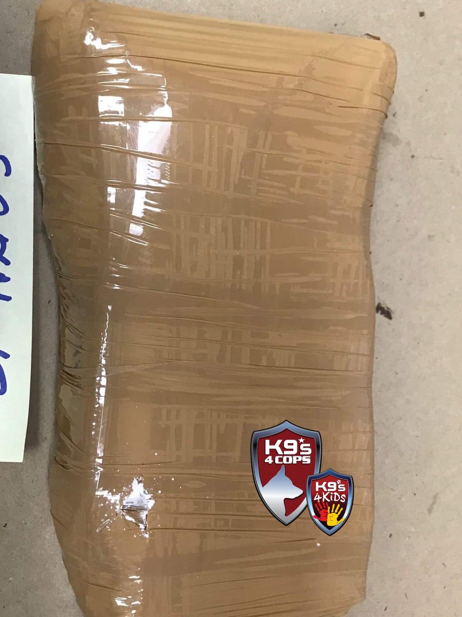 K9sOfficial's tweet photo. K9 Asha has been busy using her nose! She sniffed out 1 kilo of coke with a seizure value of $25,000!😱
#K9Asha #K9s4COPs #K9s4KIDs #iK9 #XtremeConcepts https://t.co/JaUltifXlX