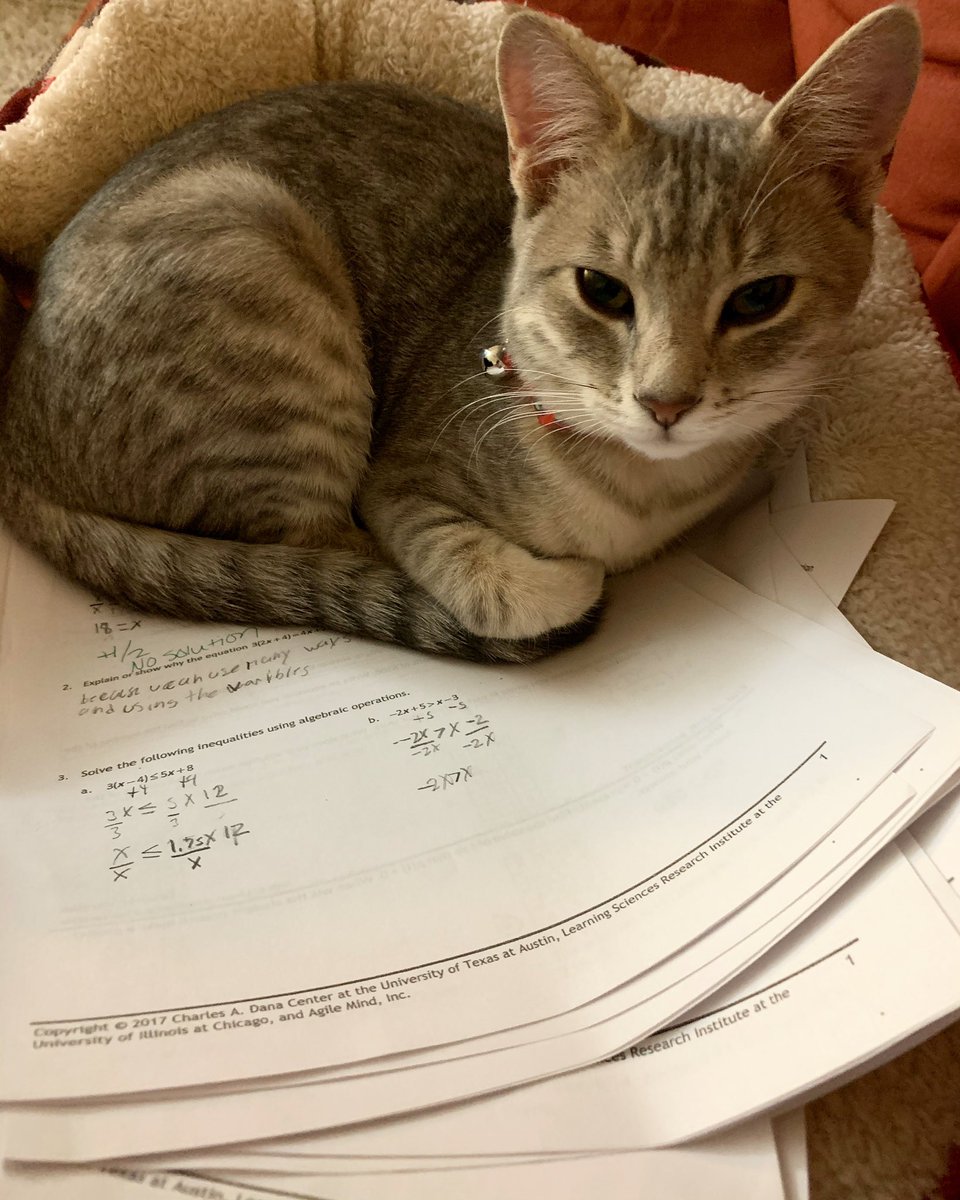 MsCLucasScience tweet picture