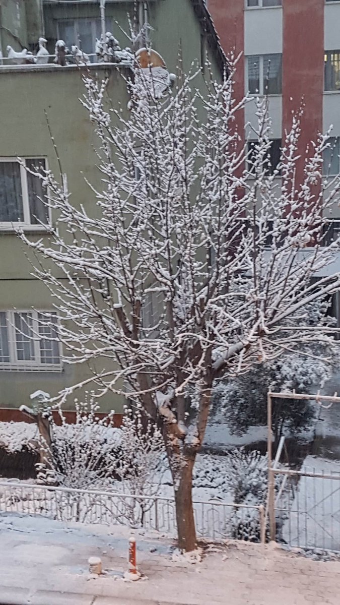 Halil Aslan tweet media