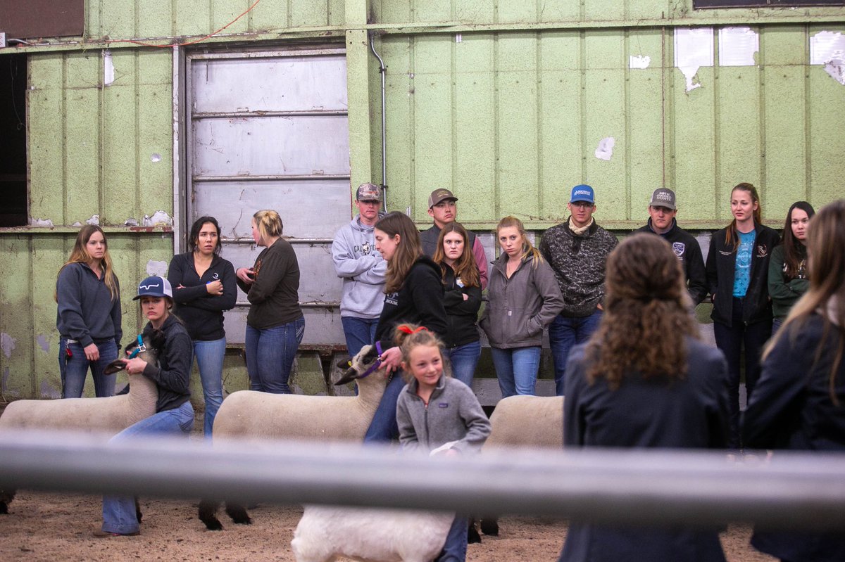 The Western Bonanza class spent tonight training for work inside and outside of the show ring. Are you ready to step into the ring at #WB2020?
#Bonanza36 #training #fieldday