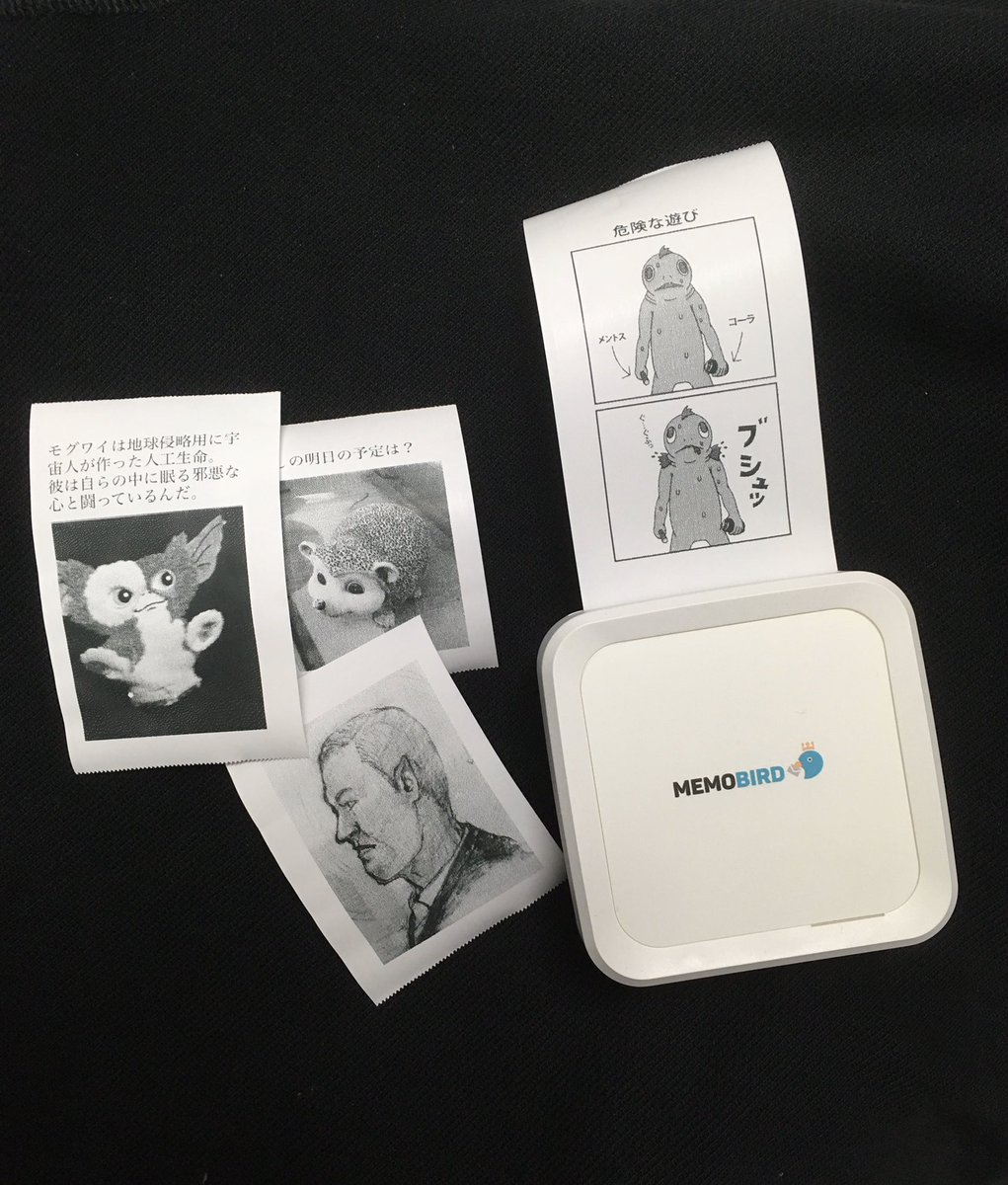 サーマルプリンター怪文書を布教していきたい。インクいらないし用紙も安いよ。 