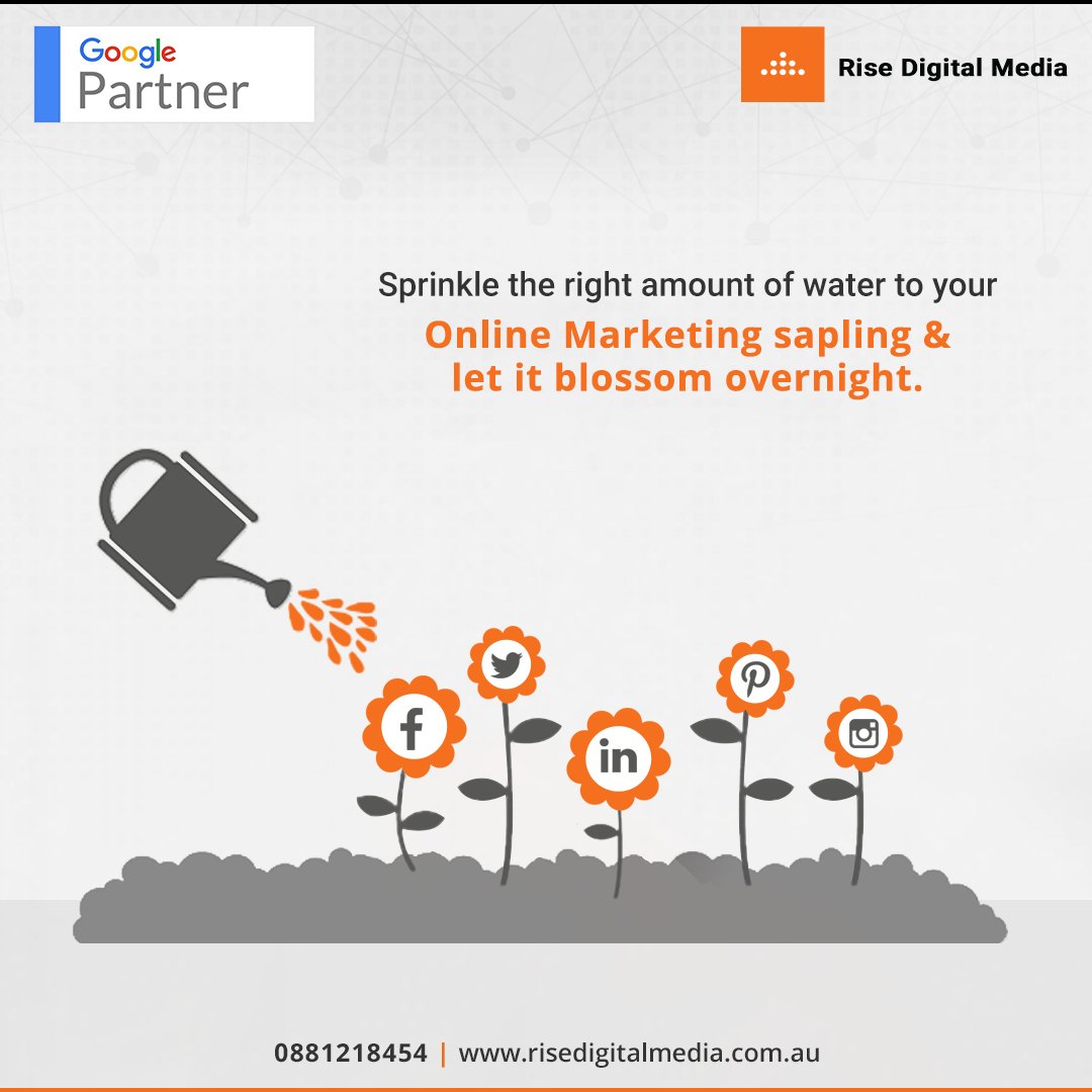 Rise Digital Media tweet media