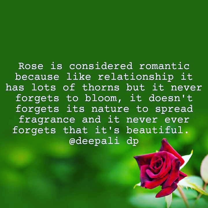 deepalidp1's tweet photo. #writersofinstagram #writeraofindia #shayaris #poetry #quote #wordporn #qotd #igwriters #Nojoto #NojotoApp #wordgasm #wordporn #indianwriters #poetsofindia #stories #storytelling #quoteoftheday #RoseDay2020 #mojzamiracle #deepalidp #hindishayari #jashnerekhta #valentine https://t.co/xGU1bGSnpU
