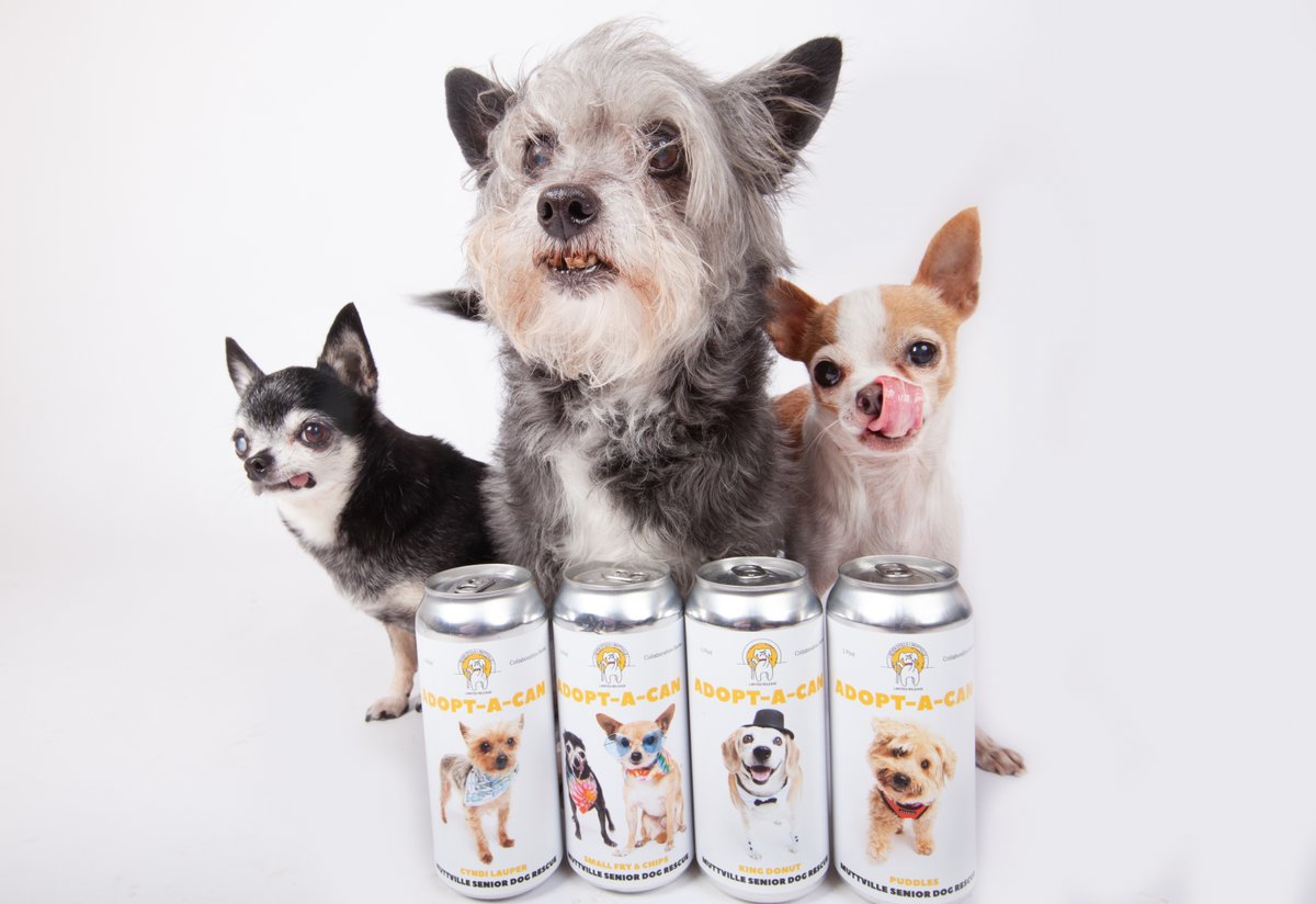 Muttville's tweet photo. Muttville/Seven Stills amazing Adopt-a-Cans launch this Sunday @SevenStillsofSF at 100 Hooper in SF! Join us for Sunday Funday Fur a Good Cause and raise a glass to our senior dogs! 12-4, Read more! https://t.co/nY3SWMH0Xw https://t.co/cqrhSOg4d3