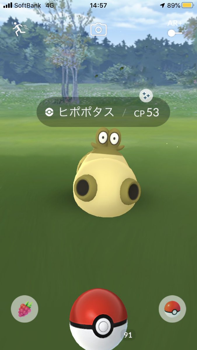 ポケモンgo ヒポポタスの色違いはオスメス両方揃えたくなる理由がある ポケモンgo攻略まとめ速報