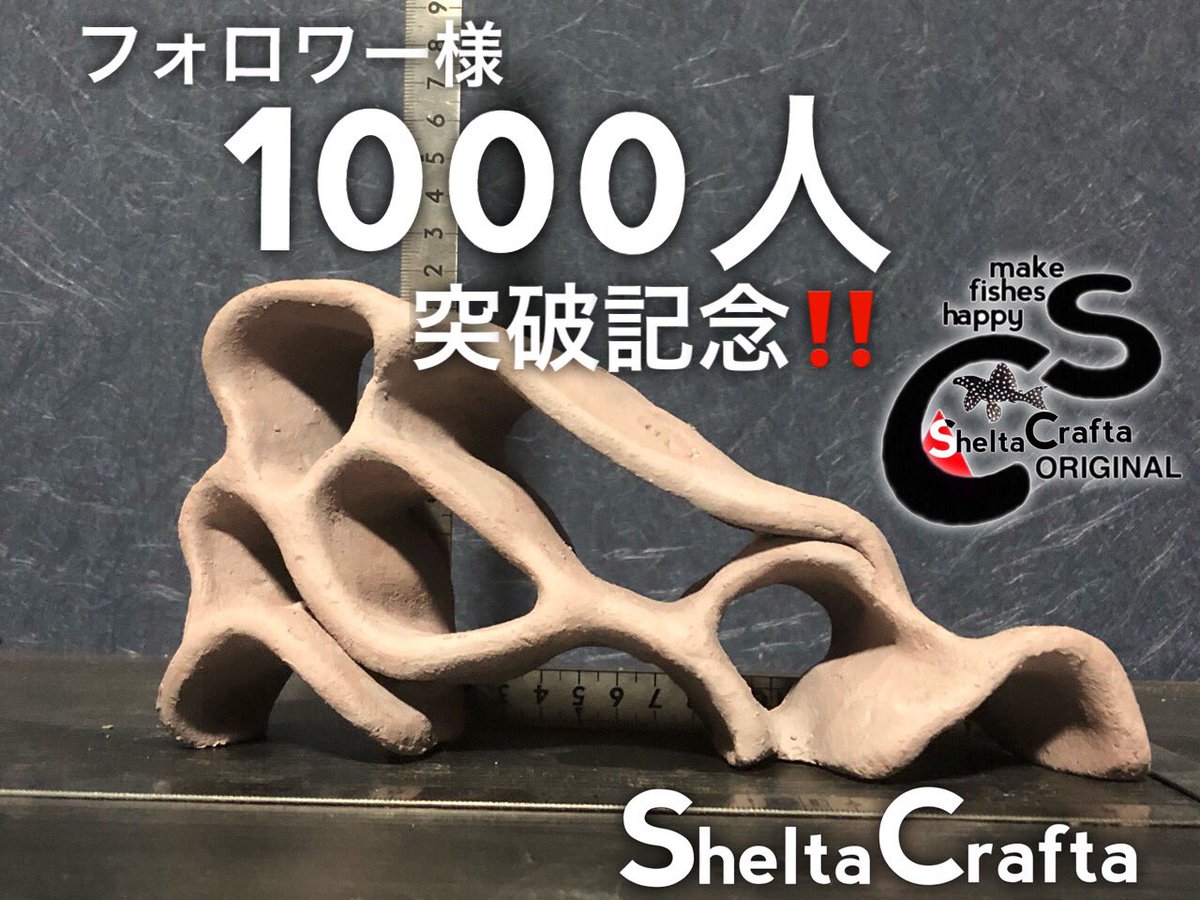 Asat76888421's tweet image. 応募者が結構増えたのと、フォロワー様1000人突破記念で追加景品をご用意いたしました🙇‍♂️

《基本型》

応募、当選後の条件は下記リツイートに準じます。
両方リツイートしてくれた方は倍率2倍✨
もしどちらかかのリツイートが300を超えた場合追加景品をご用意いたします😊その場合当選者は3名です✨👍