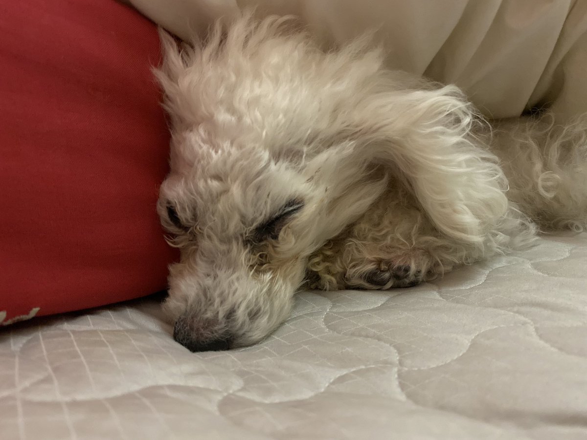 강풍기 앞 아님!