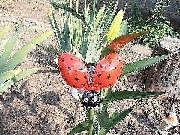 gorodunet's tweet image. Божья коровка из того, что под рукой

#своимируками #садовыефигуры #изтогочтобыло