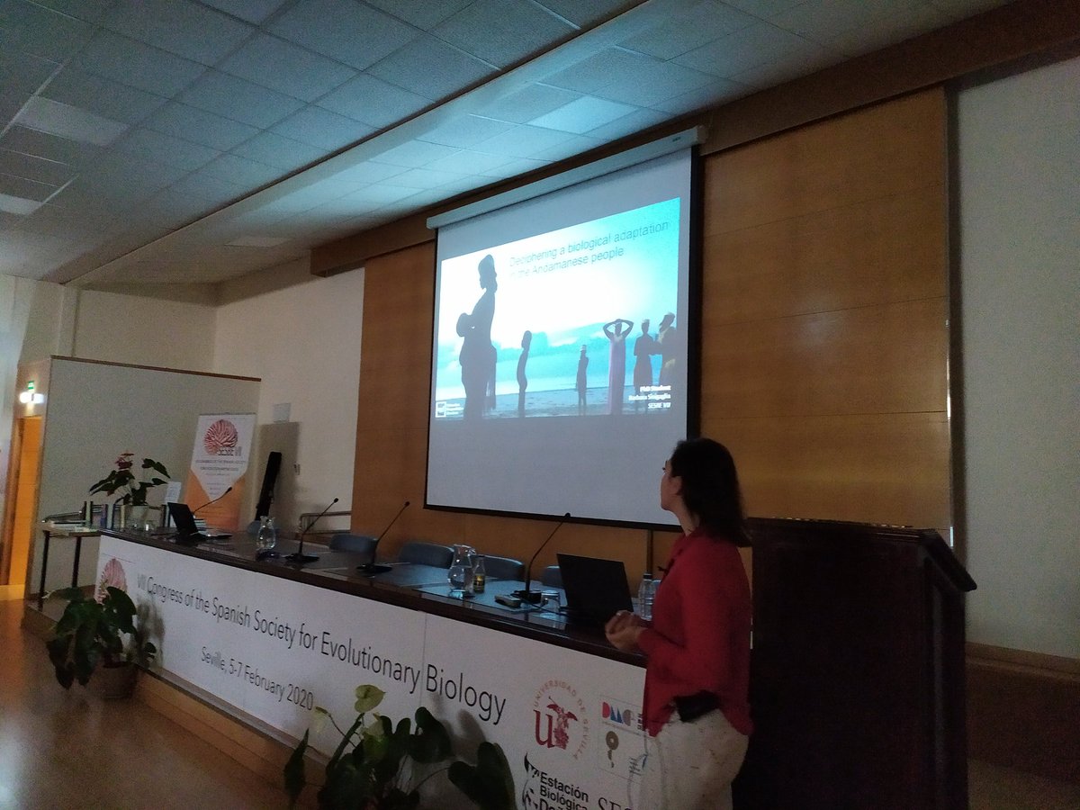 sesbe2020 tweet media