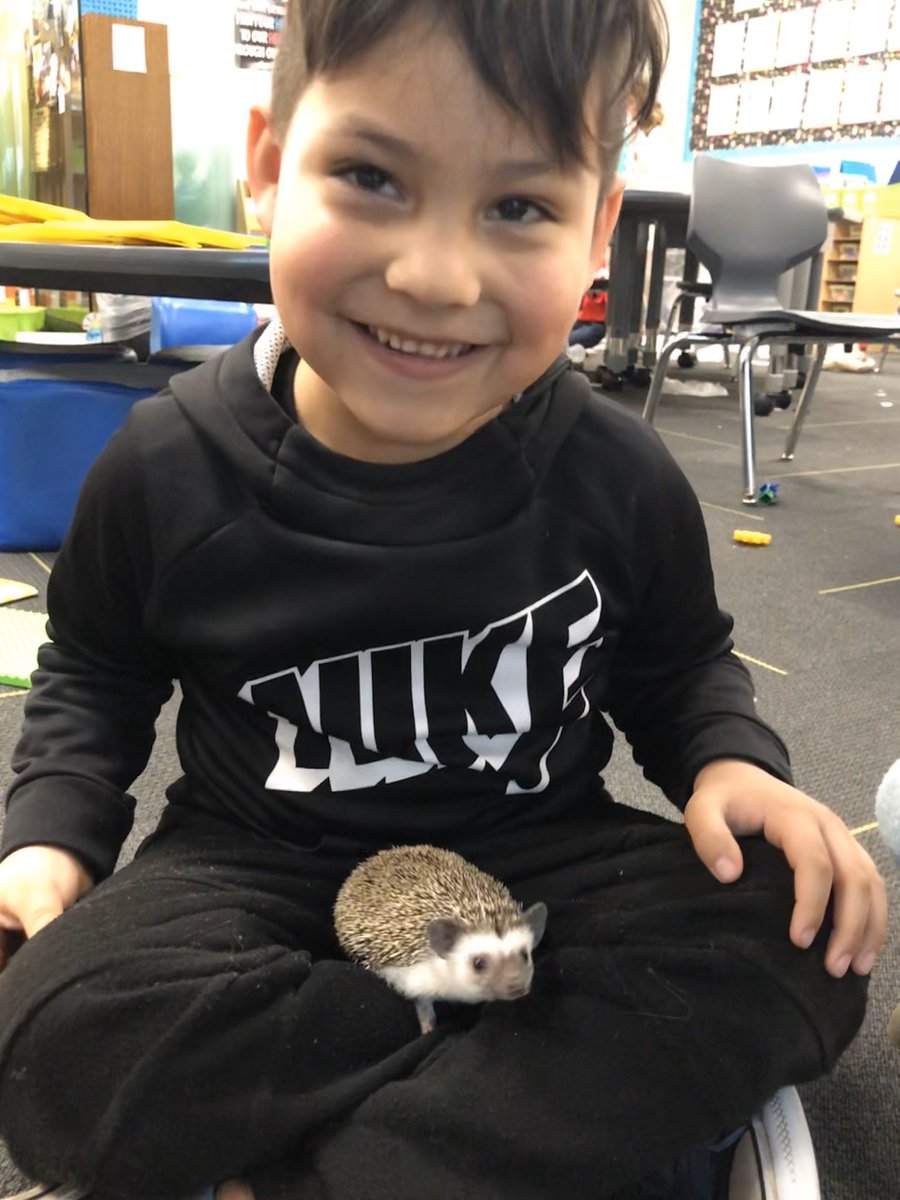 KSmithSidekicks's tweet photo. Introducing #mrpricklepants to students has been so fun! I love how he is an inspiration for their small moment stories and the smiles on their faces are totally priceless! #cankinder #becannonproud @canstem @pettit73 @MrsMandyJackson @Jandaexotics https://t.co/DDgC3nrhIT