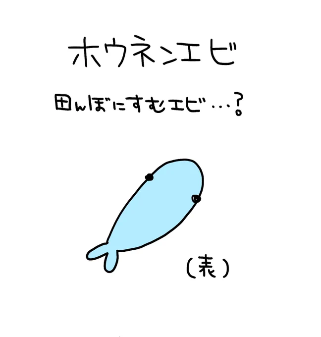 みなさん
ホウネンエビという生き物をご存知ですか?

私はホウネンエビに深いトラウマがあります・・・(°_°)

#ホウネンエビはエビなのか 