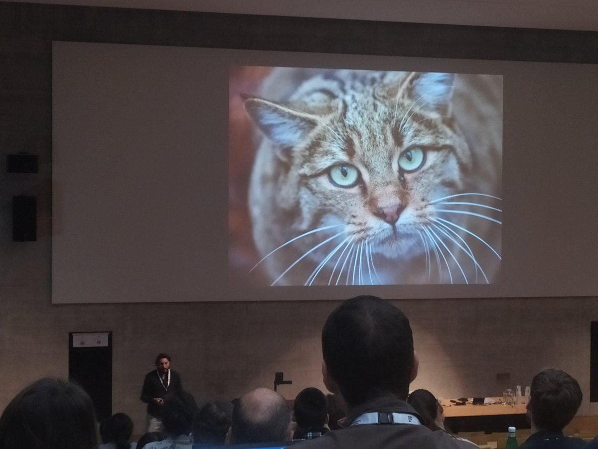 Caroline Daniel tweet media