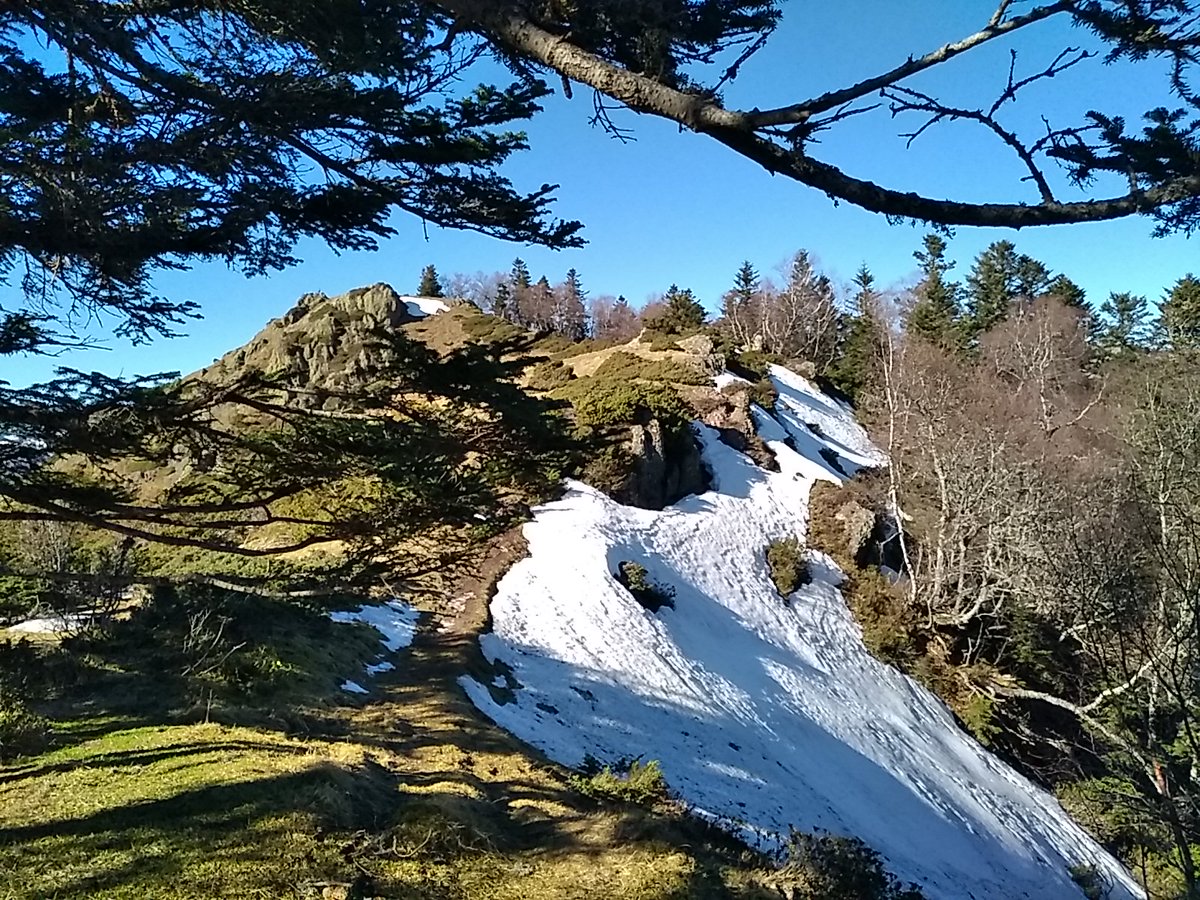 LonePeakbagger's tweet photo. After exploring the Monné Rouye ridge, I dropped down to the Lac de Payolle...
#pyrenees #hautespyrenees #bigorre #monnerouye #coldaspin #payolle #lacdepayolle #picdumididebigorre #arbizon #mountains #montagnes #lac #lake #hike #rando #randonnee #tourismehautespyrenees https://t.co/EdyK5nC7VL
