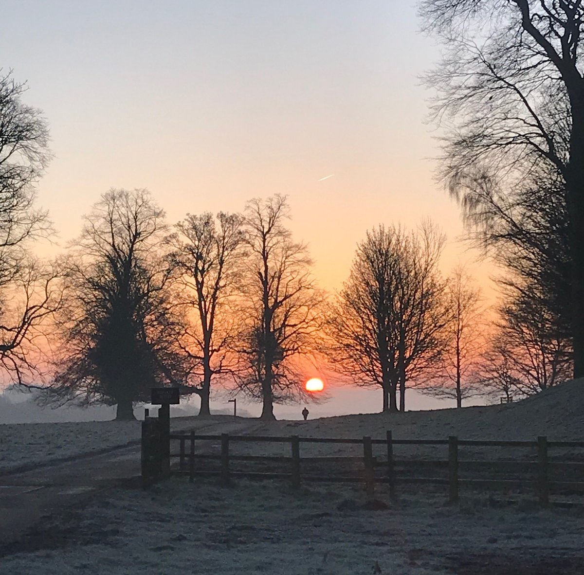 Historic_Houses's tweet photo. Thanks to @Wentworth_House for sending in this stunning picture of a sunrise across their grounds this morning 🌄💕 https://t.co/jrBtSLUvsw