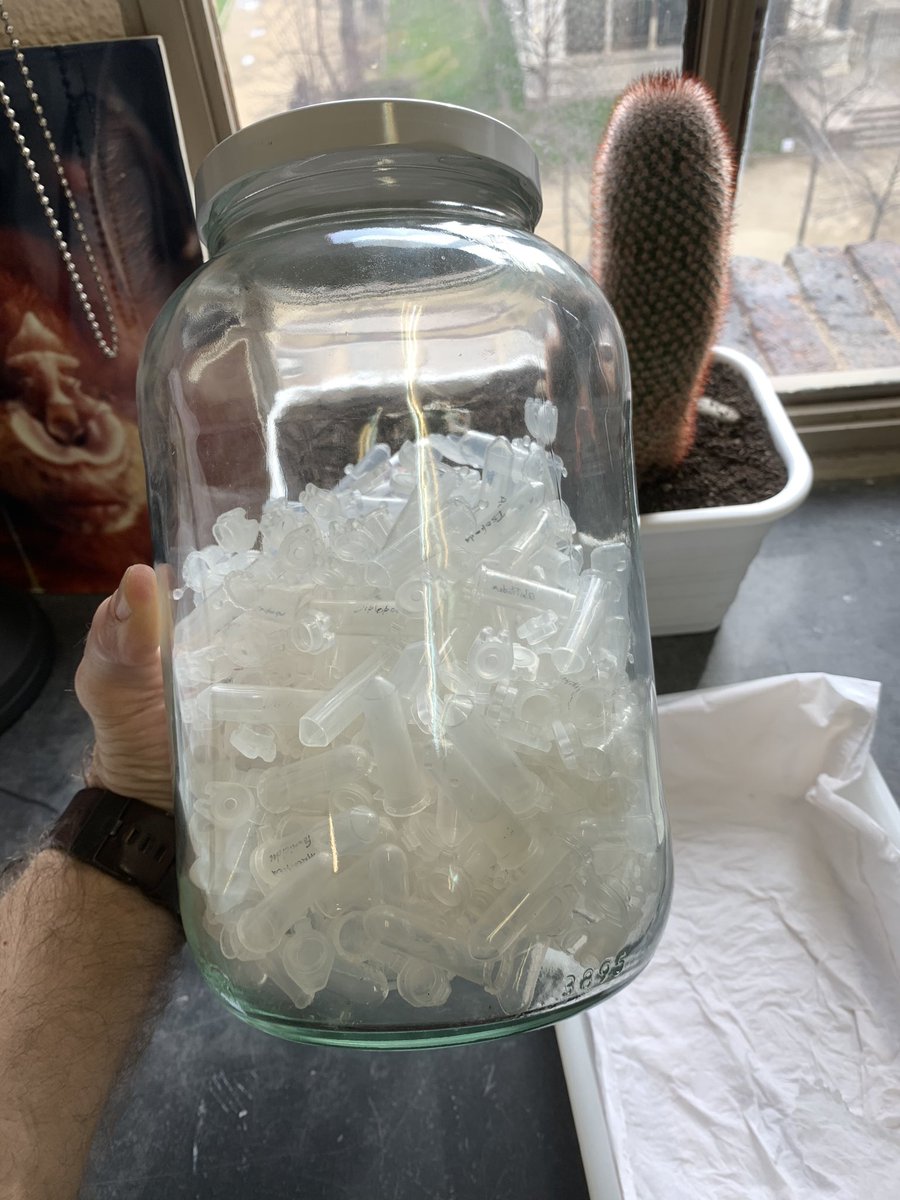 MCNBzoologia's tweet image. Reciclant material de laboratori. Una vegada els espècimens capturats en els nostres projectes de recerca de @museuciencies passen als seus contenidors de vidre permanents, allarguem la vida útil dels contenidors de plàstic amb un bany de pocs minuts #recicla #reutilitza