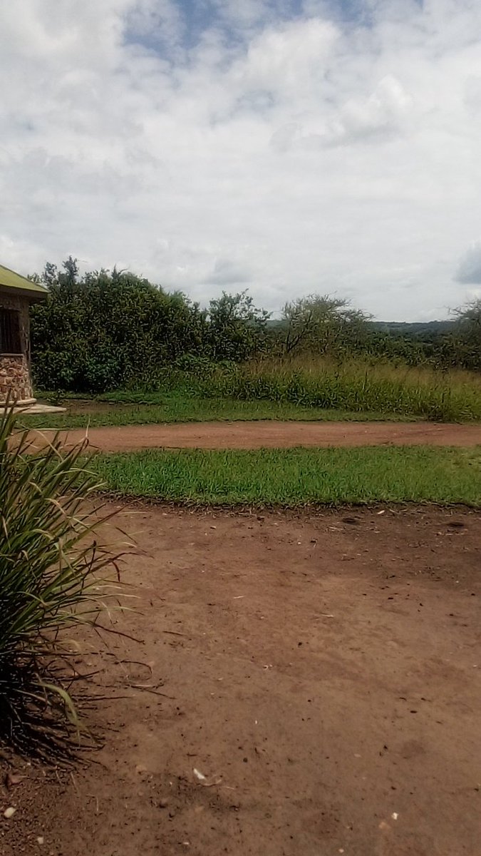 Nsengiyumva Innocent tweet media