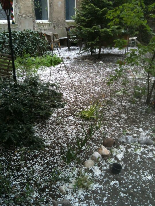 Grüne Schleife tweet media