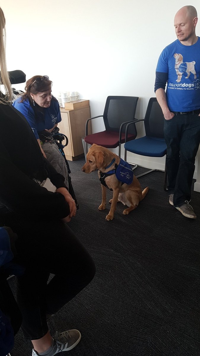 AbigailDuffIM's tweet photo. So lovely to have a visit from @supportdogsuk in the @irwinmitchell Birmingham office this morning! Isn't Kevin a cutie pie? 🐶😍 Please read all about this incredible charity who provide support for people with Epilepsy and Autism ❤ #SupportdogsUK #Fridaytherapy #Kevin #IMAble https://t.co/zO1Vc5BwAo