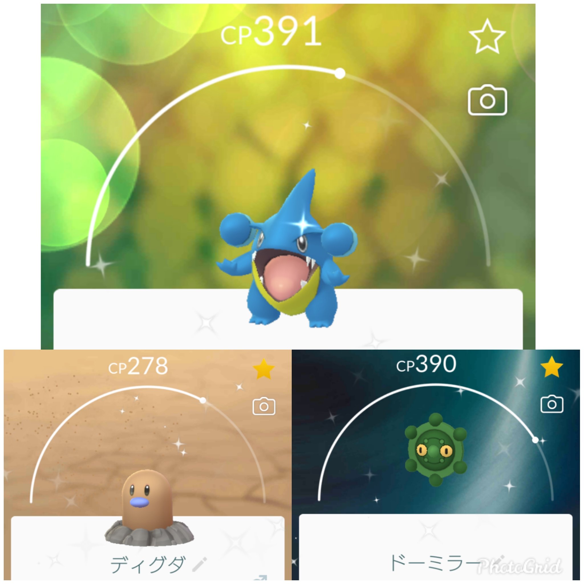 ハマトラ ポケモンgo横浜 今日は本当にヤバイ日 最近色違い出なかったのに 今日だけで４種類の色違いをゲット 野生で フカマル ディグダ ドーミラー ７キロタマゴから リオル の色違い 速攻でルカリオにしてみました 今日は