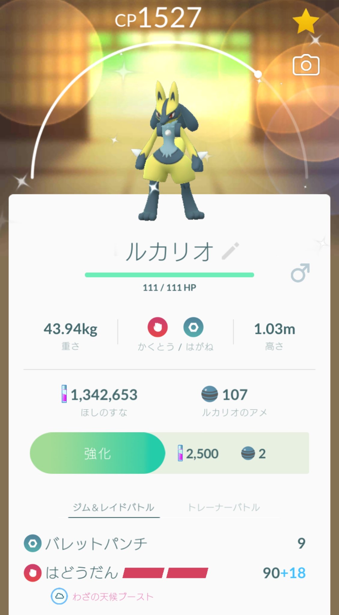 ハマトラ ポケモンgo横浜 今日は本当にヤバイ日 最近色違い出なかったのに 今日だけで４種類の色違いをゲット 野生で フカマル ディグダ ドーミラー ７キロタマゴから リオル の色違い 速攻でルカリオにしてみました 今日は