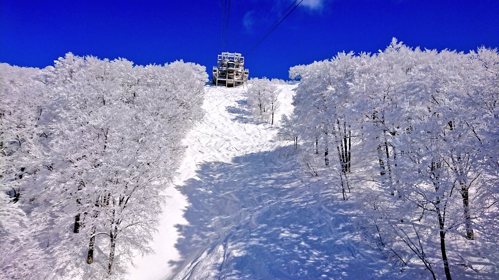 es3xx7's tweet photo. The Day❄最高かょ、相変わらず下手だけどしゃーない(ﾉ∀`)性格的に‥
今朝は寒かった🤐マイナス５℃やった https://t.co/CHIva0VvWN