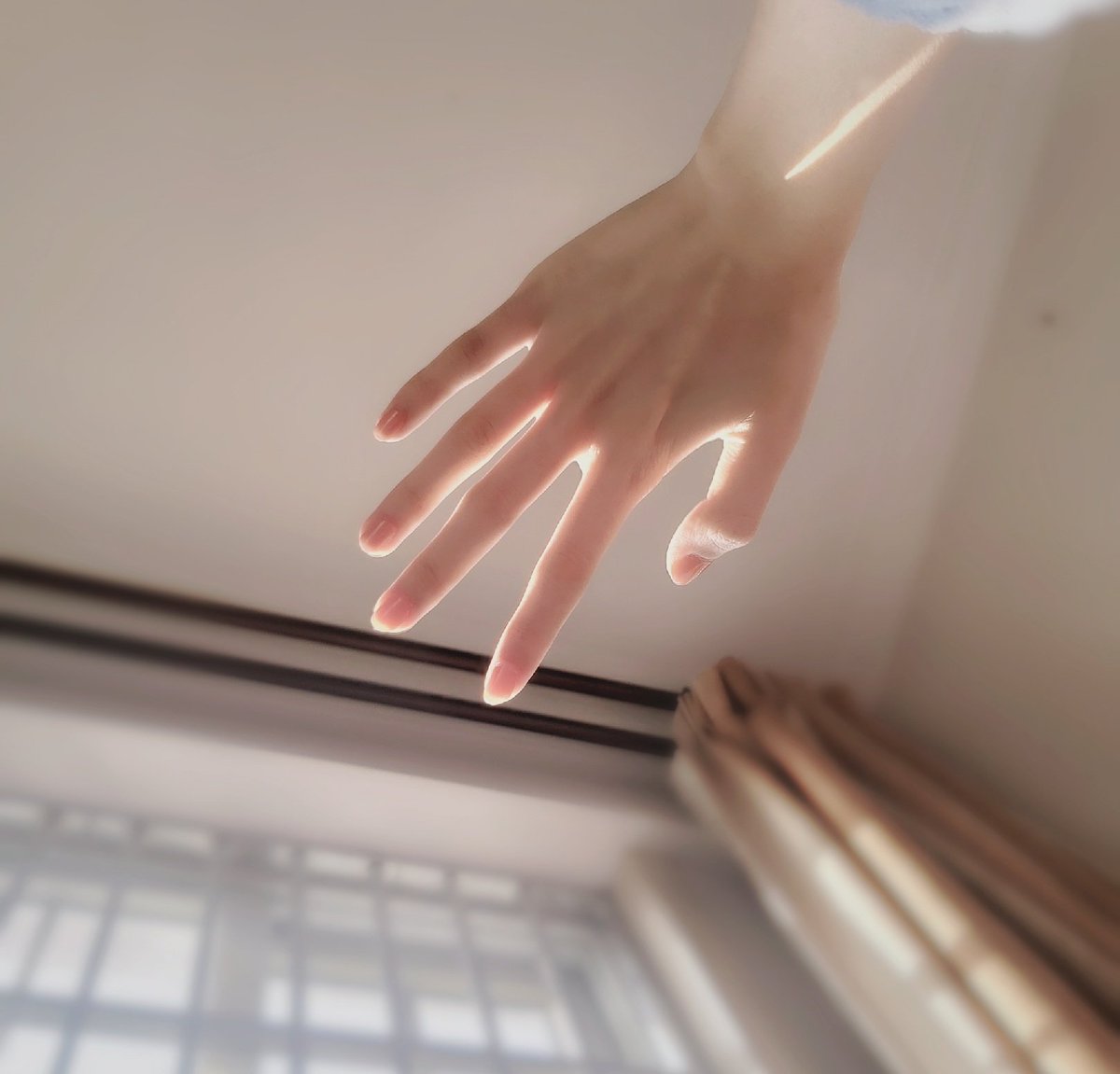 Tapir10090605's tweet photo. https://t.co/3ia0WY5JjK