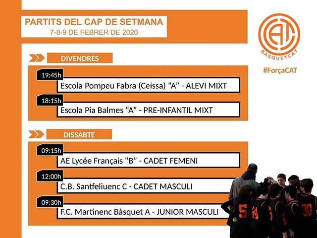 BASQUETCAT tweet media