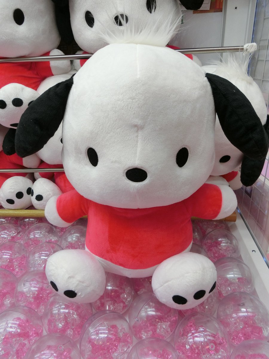 Twitter पर Namco梅田店 ポチャッコ 超超bigぬいぐるみ 入荷してます 超超というだけあってかなり大きめサイズ 超超かわいいので気合いを超超入れてgetしにきてね 超超言い過ぎ プライズ サンリオ ポチャッコ