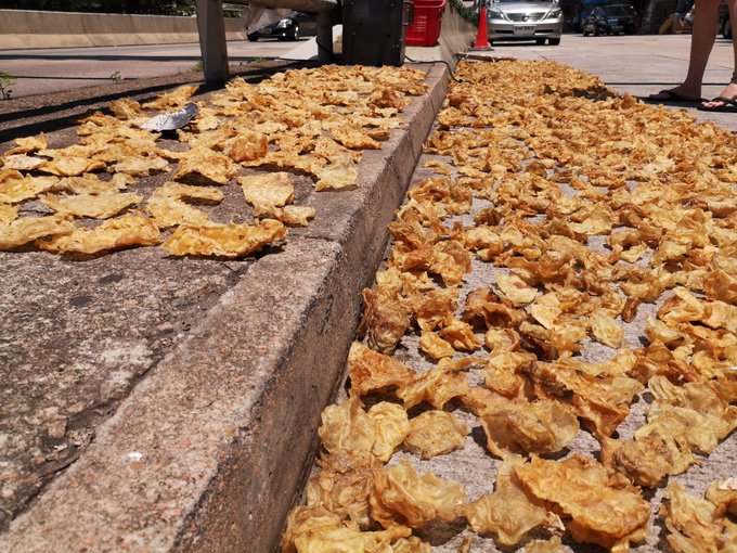 oceansasia1's tweet photo. With the #coronovavirus in full swing, mainland Chinese authorities are closing down wildlife markets, and yet in #HongKong, #sharkfin🦈 traders continue to dry their wares on public sidewalks...
Call it luxury seafood or #GutterFood, it's unhygienic!
https://t.co/QlOYg8Q0T0 https://t.co/rL4I1Fxqwz