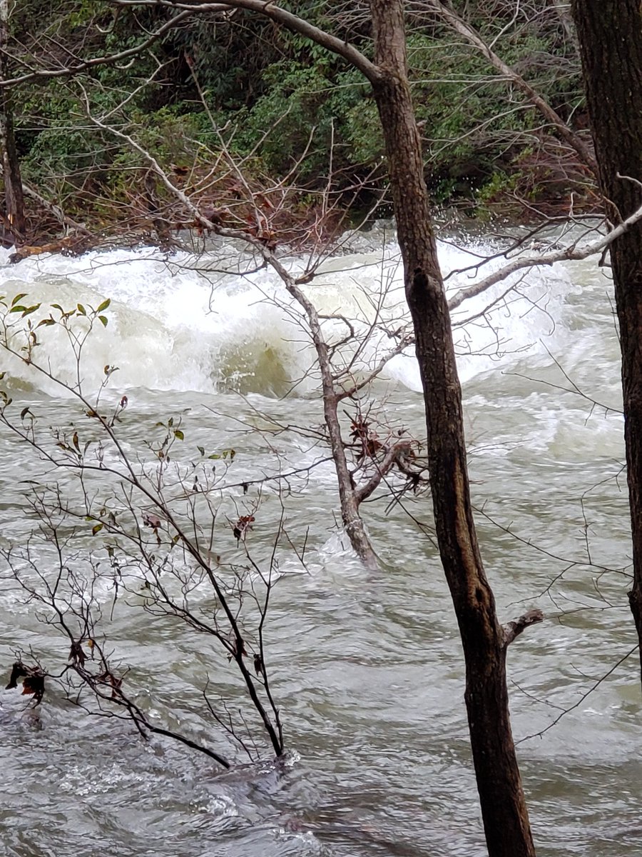 abbott_rush's tweet image. North Chickamauga creek  cranking today. Kayak a steep creek  screw the office!