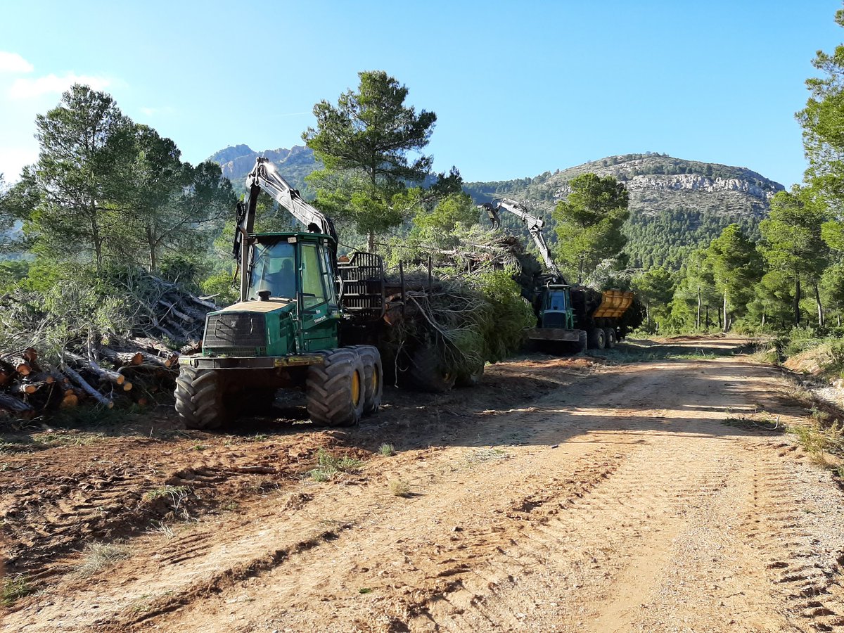 Ejecución de Tratamientos Selvicolas de Mejora y de prevención con Aprovechamiento de biomasa en Fincas Particulares pertenecientes a PROFOMUR en la Región de Murcia. La Gestión Forestal privada es igual de importante que la pública, y la biomasa puede financiarla.<a href="/Selvicultores/">Selvicultores</a>