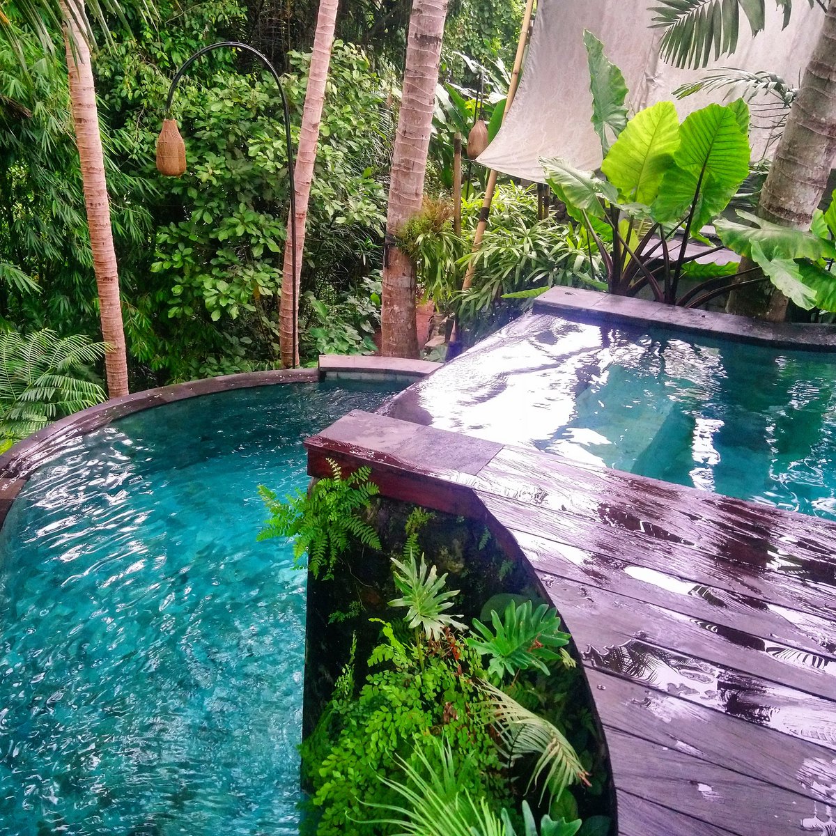 chikkitita's tweet photo. Le #poolporn est total. 😍😭 https://t.co/jinlZbLCxK
