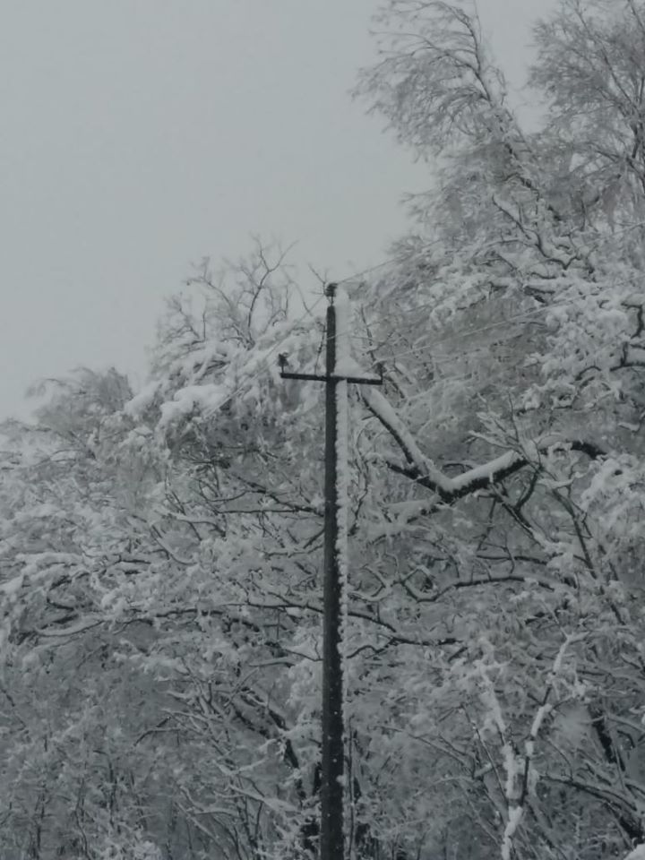 RostovEnergo's tweet image. ⚡Как это было.
Утром 7 февраля ОРР переведен в РПГ. Энергетики продолжают мониторить ситуацию.
#россети #россети_юг #rosseti_yug #борисэбзеев #ростовэнерго #ростов #тэк #энергетика #электричество