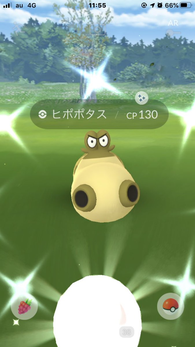 ポケモンgo ヒポポタスの色違いはオスメス両方揃えたくなる理由がある ポケモンgo攻略まとめ速報