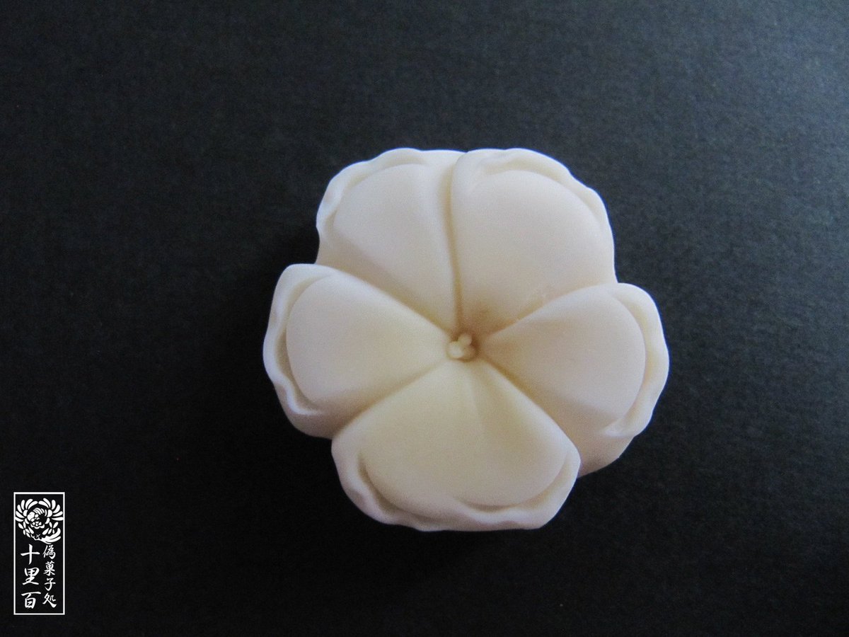 十里百誕生花和菓子化計画2月 十里百誕生花和菓子化計画2月