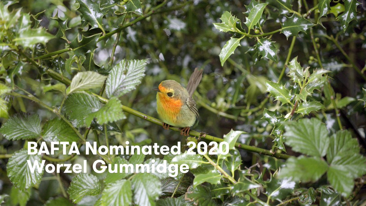 pplpxls's tweet photo. We’re proud to announce we’ve been nominated for in this years BAFTA’s for #vfx on Mackenzie Crook’s epic BBC 1 Christmas special ‘Worzel Gummidge’. We produced over 400 shots for the 2 x 1 hour Christmas episodes #visualeffects #animation #film #worzelgummidge #liverpool #bafta https://t.co/atyqVExawh