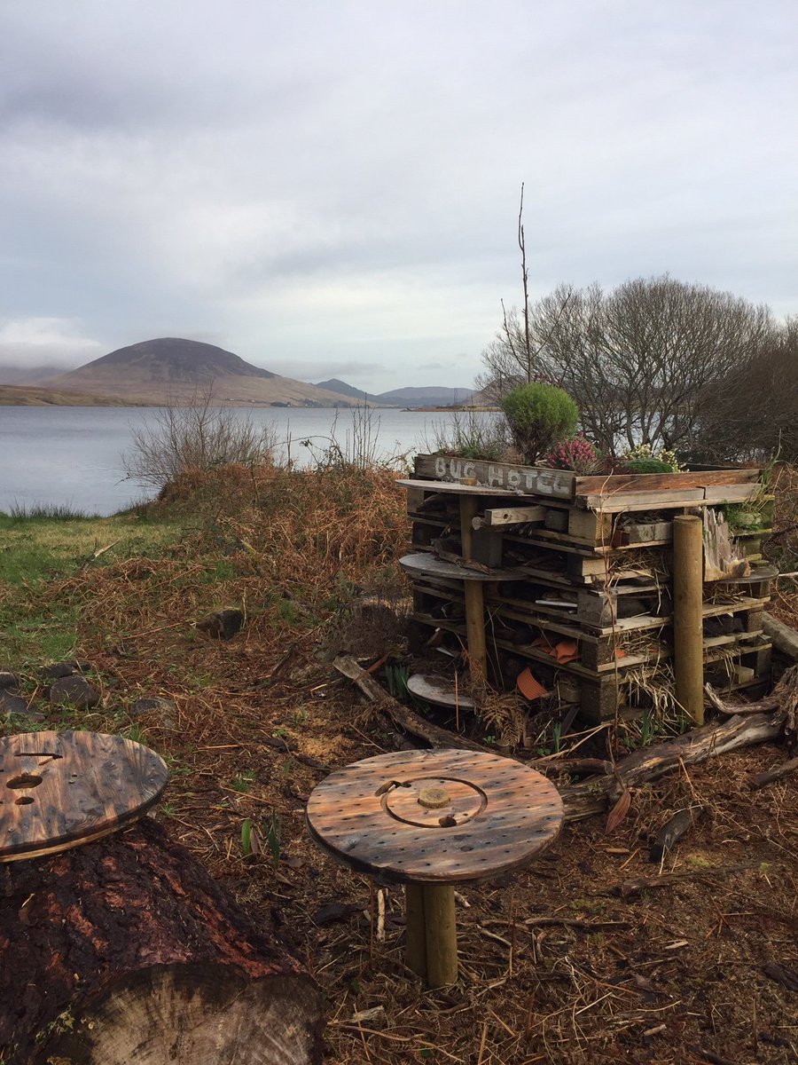 MarineInst's tweet photo. Glimmer of spring in Furnace, Marine Institute pollinator friendly plan in bloom, with snow drops and the daffodils and crocus are only just peeking out. #marine #pollinator #getgreener #allirelandpollinatorplan #Newport #bughotel
Photos Mikkel Andersen https://t.co/w7VwAfEhai